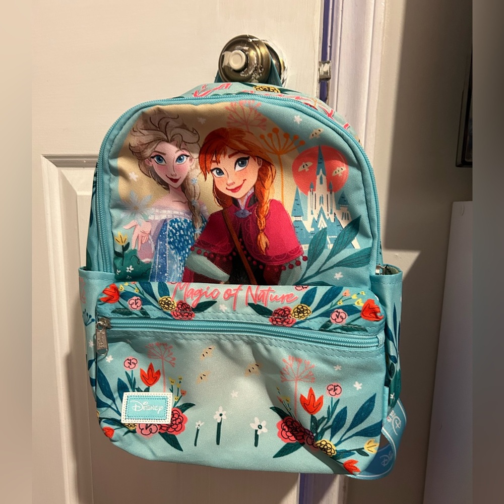 Disney World Frozen bag